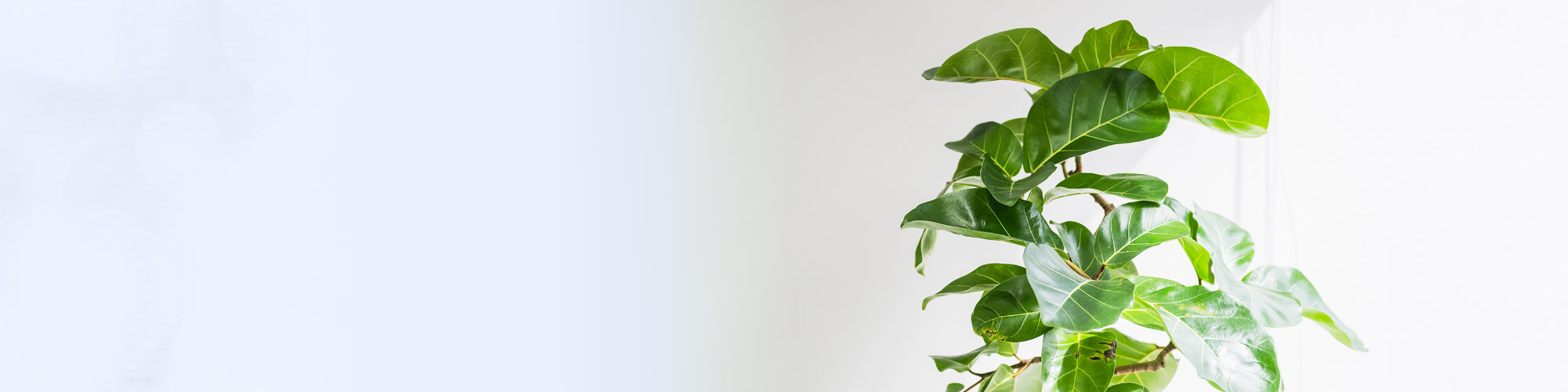 キービジュアルイメージ01